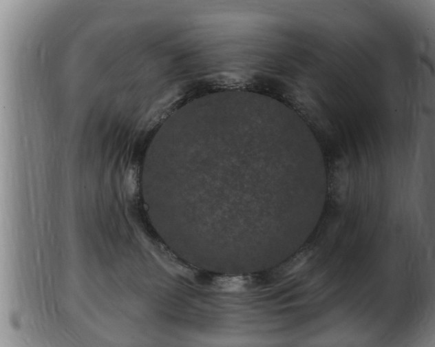 X0000103320131200809121156