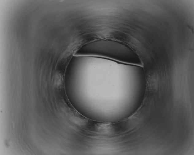 X0000103320132200809121156