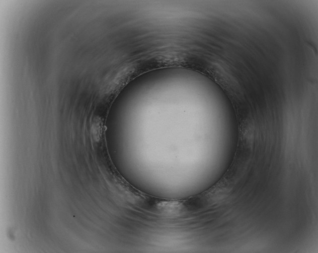 X0000103320133200809121156