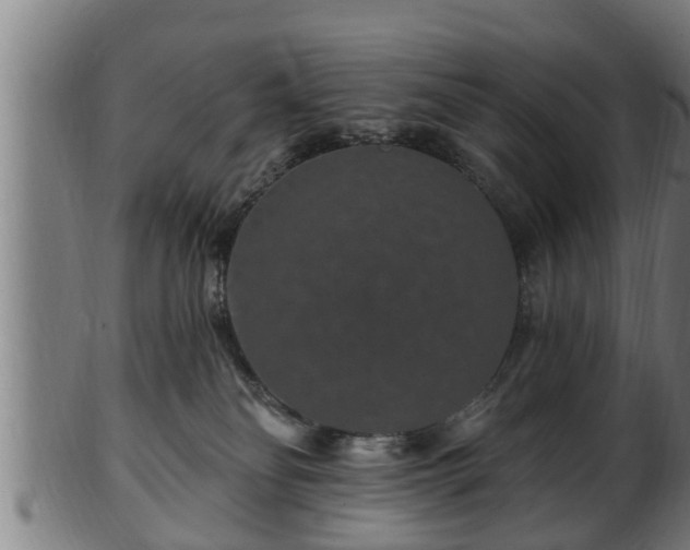 X0000103320134200809121156