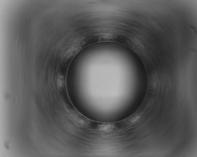 X0000103320135200809121156