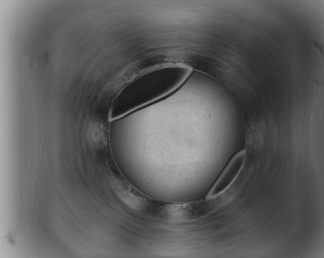 X0000103320136200809121156