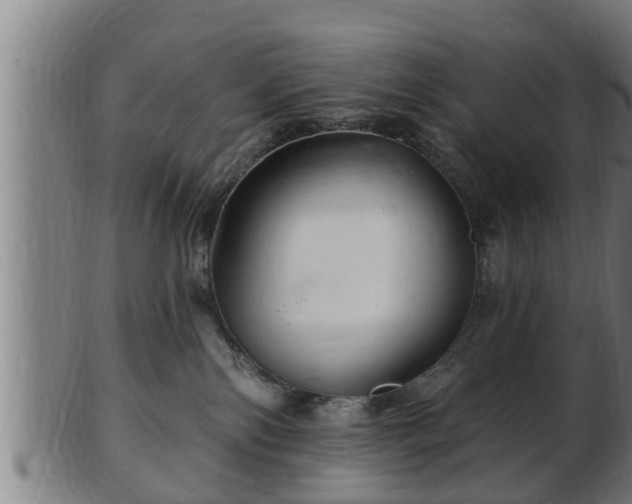 X0000103320138200809121156