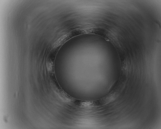 X0000103320139200809121156