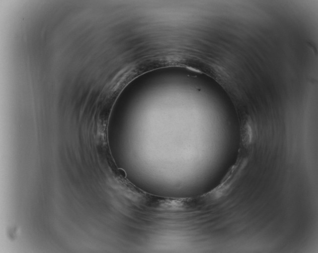 X0000103320140200809121156