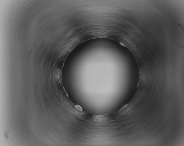 X0000103320141200809121156