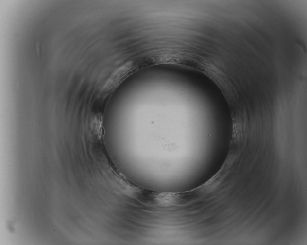 X0000103320142200809121156