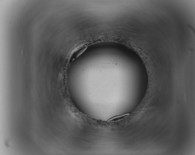 X0000103320144200809121156