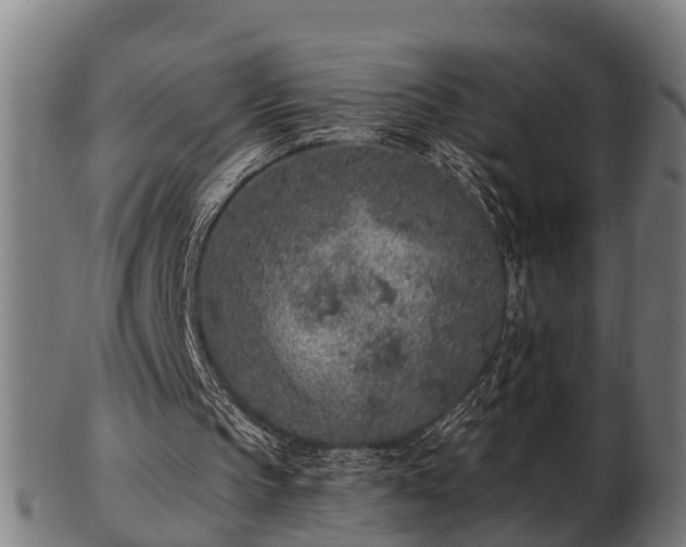 X0000103320145200809121156