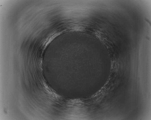 X0000103320146200809121156