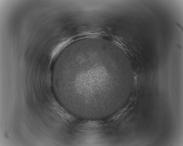 X0000103320149200809121156