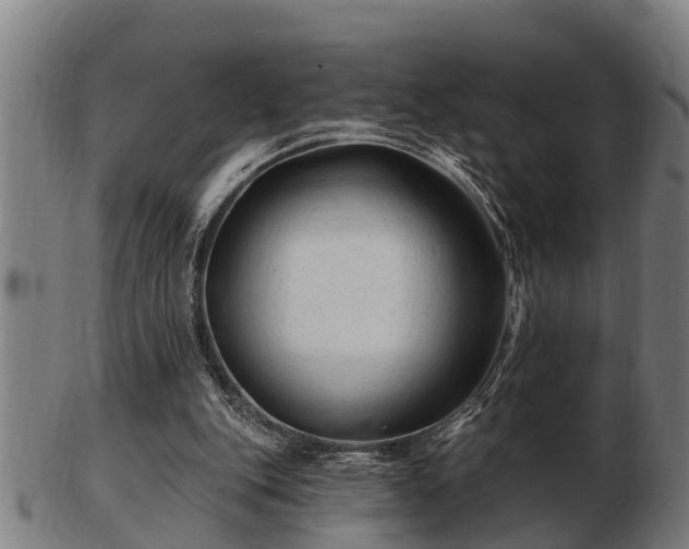 X0000103320151200809121156