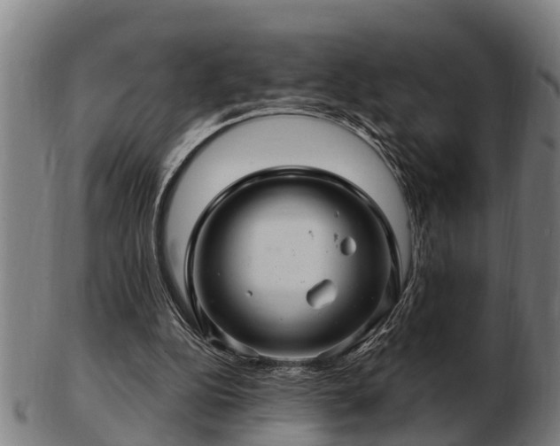 X0000103320152200809121156