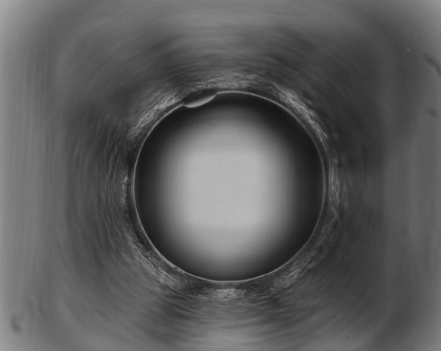 X0000103320153200809121156