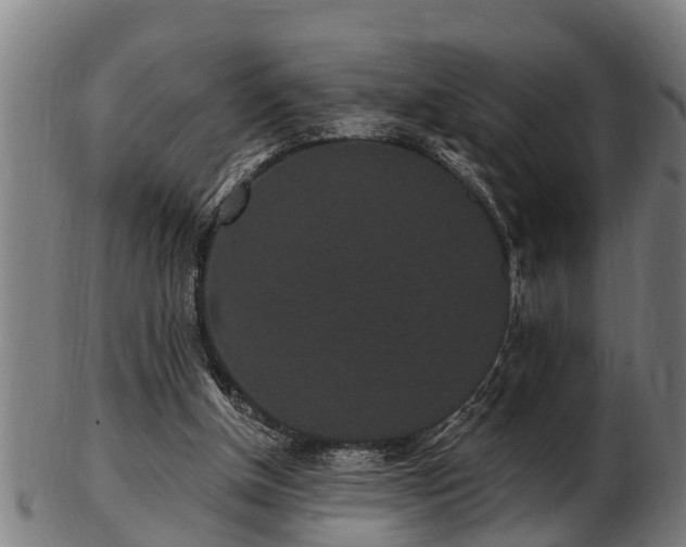 X0000103320154200809121156