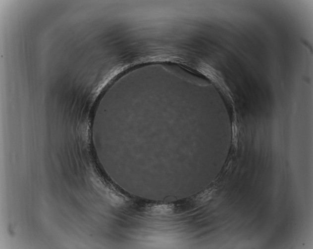 X0000103320156200809121156