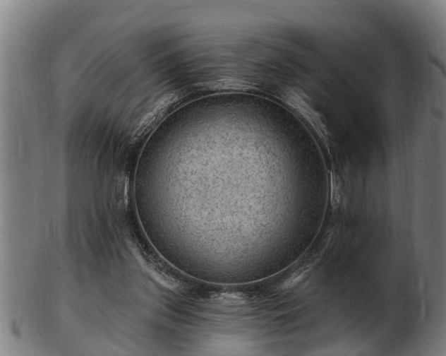 X0000103320157200809121156