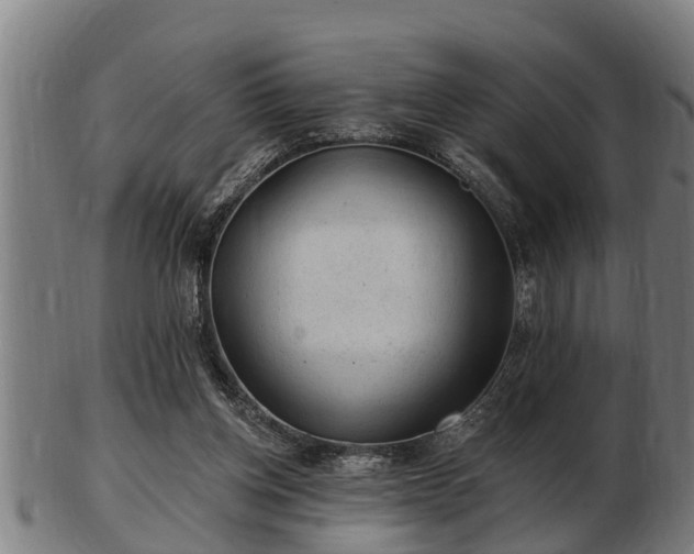 X0000103320158200809121156