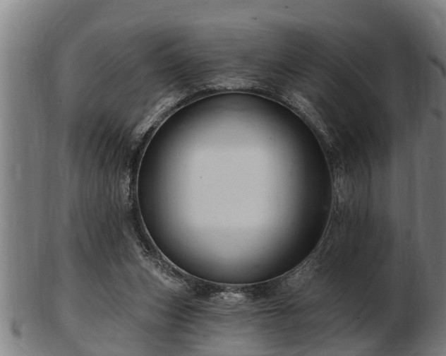 X0000103320159200809121156