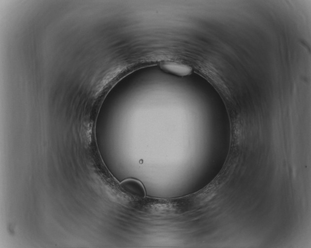 X0000103320160200809121156