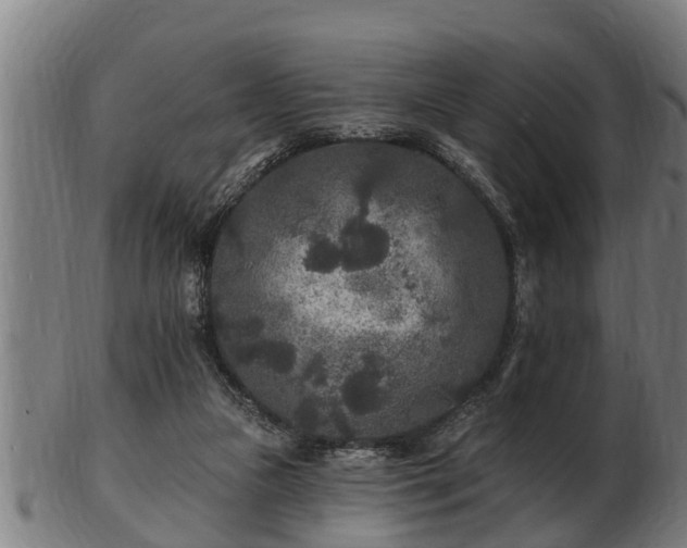 X0000103320161200809121156