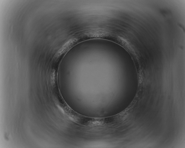 X0000103320163200809121156