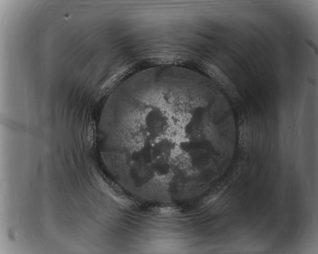 X0000103320165200809121156