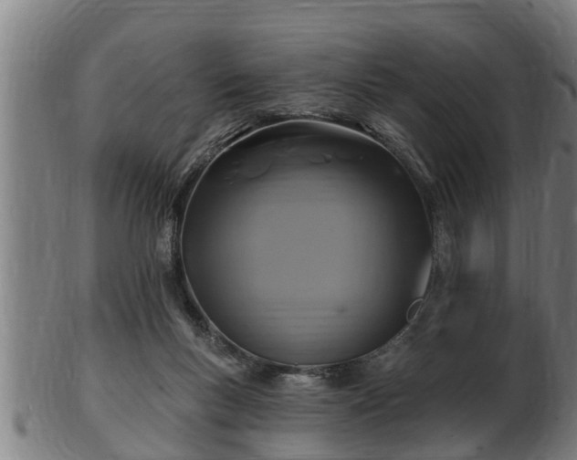 X0000103320167200809121156