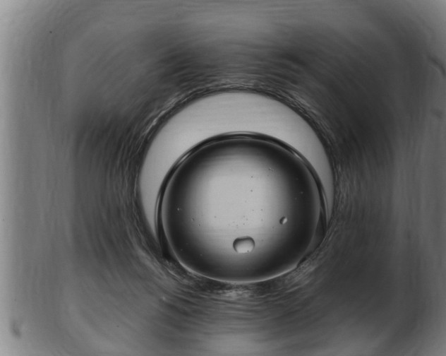 X0000103320168200809121156