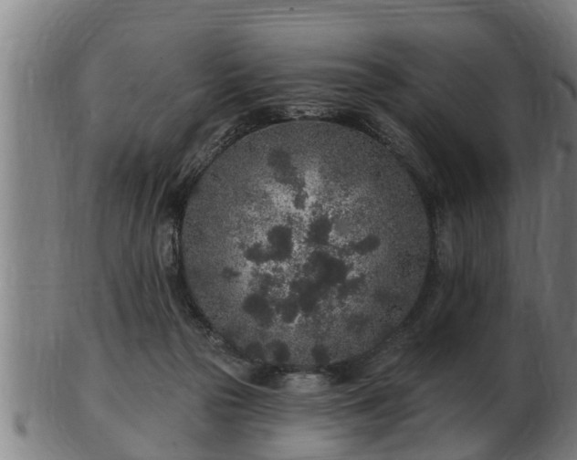 X0000103320169200809121156