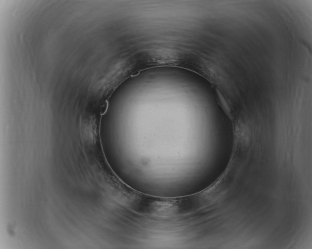 X0000103320170200809121156