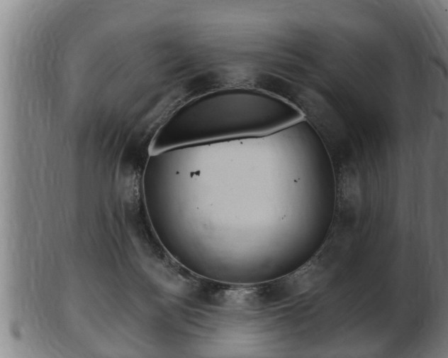 X0000103320172200809121156