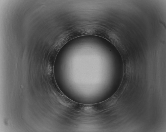 X0000103320173200809121156