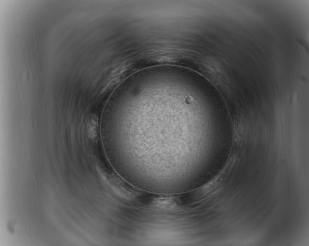 X0000103320175200809121156