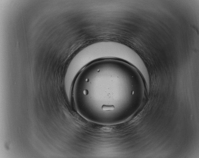 X0000103320176200809121156