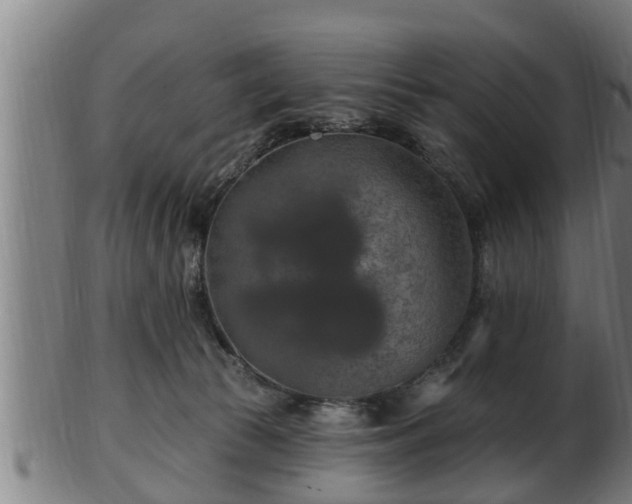 X0000103320177200809121156