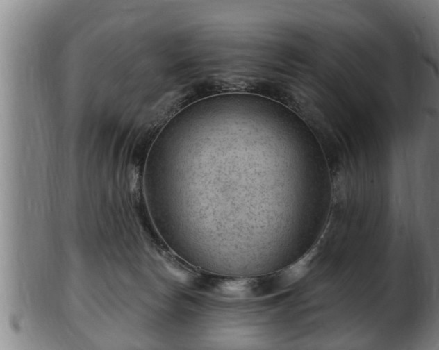 X0000103320178200809121156