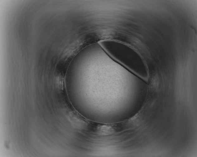 X0000103320180200809121156