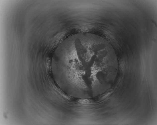 X0000103320181200809121156