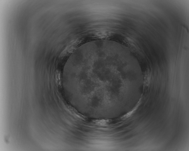 X0000103320182200809121156