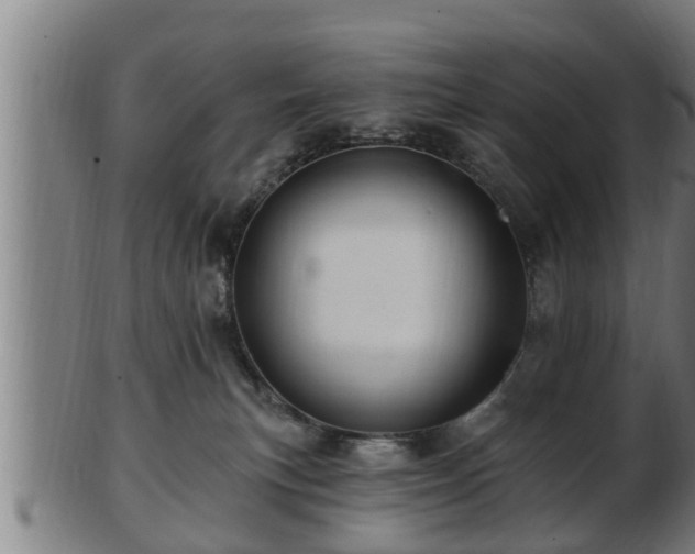 X0000103320183200809121156