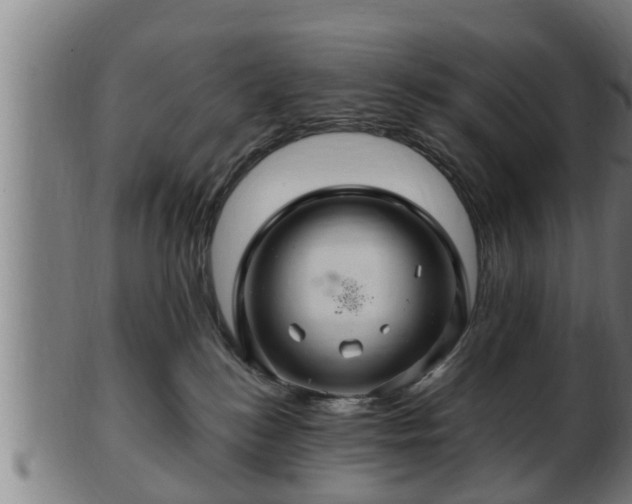 X0000103320184200809121156