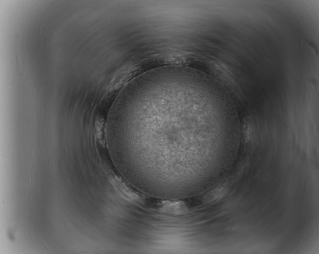 X0000103320185200809121156