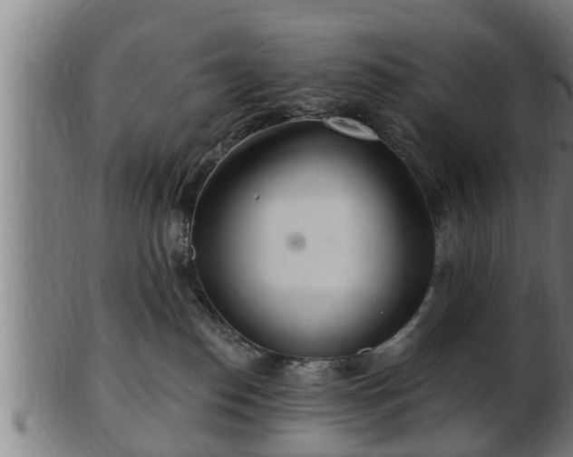 X0000103320186200809121156