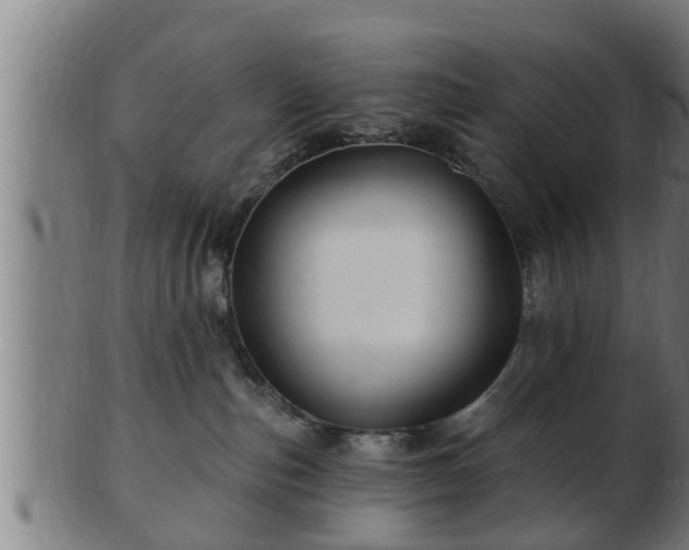 X0000103320187200809121156