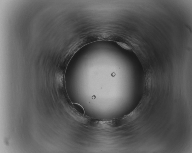 X0000103320188200809121156