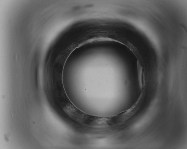 X0000103320190200809121156