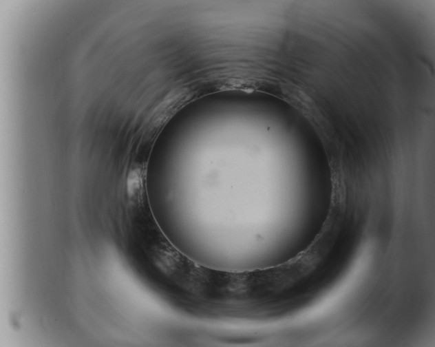 X0000103320191200809121156