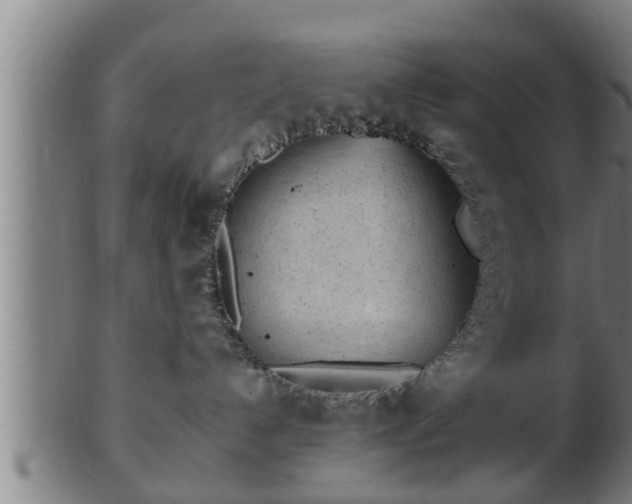 X0000103320192200809121156