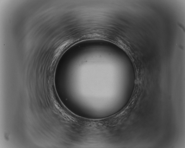 X0000103320193200809121156